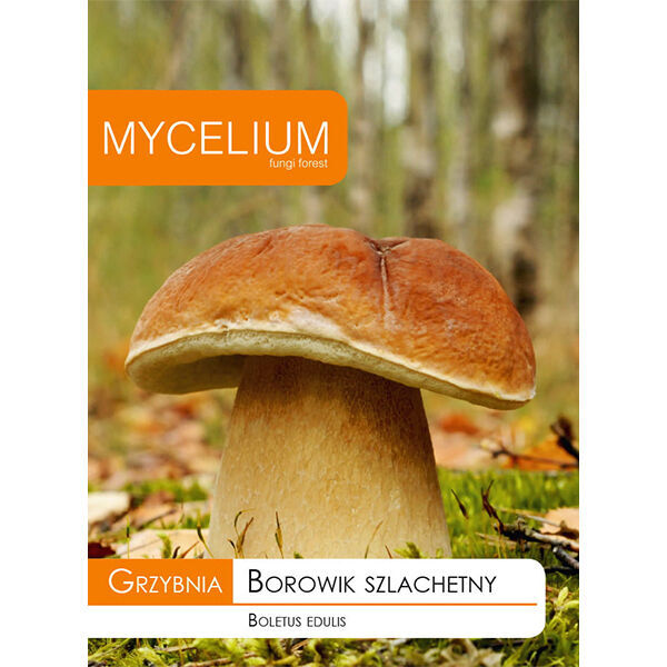 Mycelium Vrganj Noble 10g